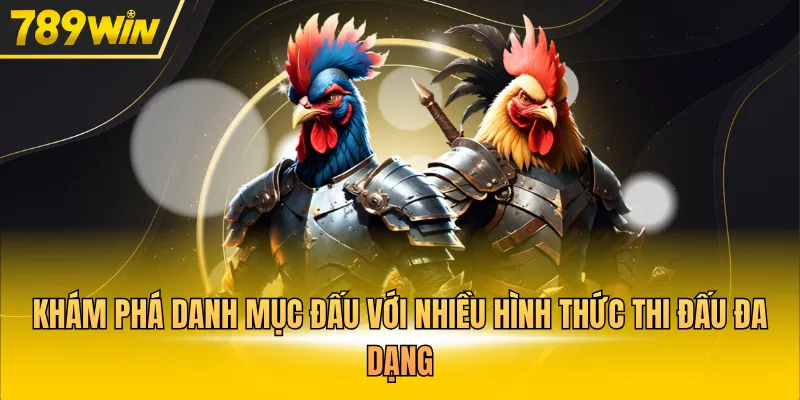 Khám phá danh mục đấu với nhiều hình thức thi đấu đa dạng 