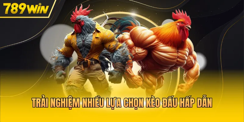 Trải nghiệm nhiều lựa chọn kèo đấu hấp dẫn 